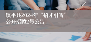 镇平县2024年“招才引智”公开招聘2号公告